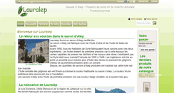 Desktop Screenshot of lauralep.com